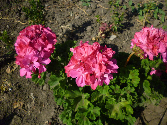 P1000970