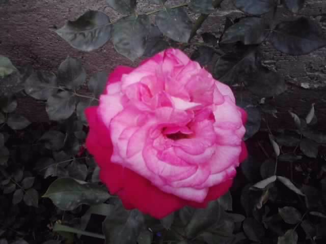 P100712_18.06_[01]
