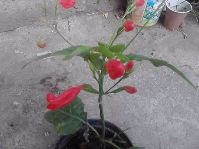 P100712_17.44_[02]