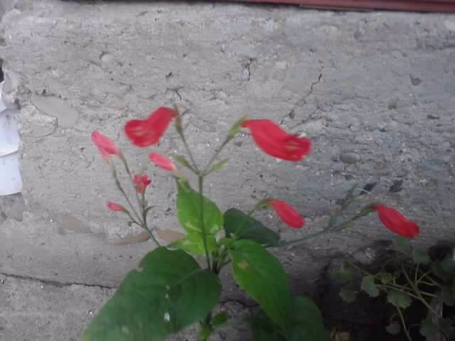 P100712_17.45