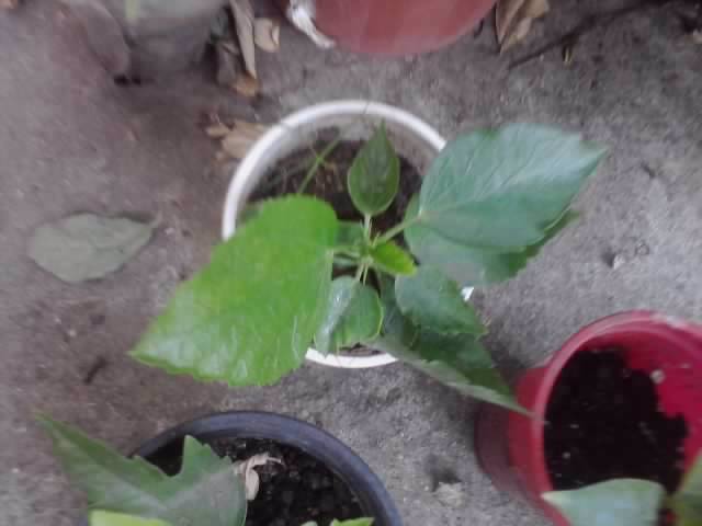 P100712_17.46_[01]