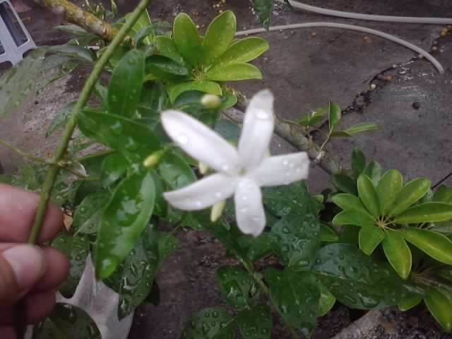 P100712_17.49_[01]
