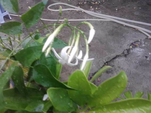P100712_17.50