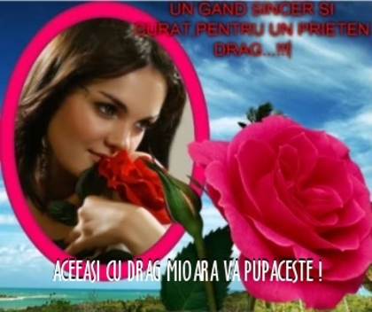 ea249a70f956a57b0057efdd50b74493