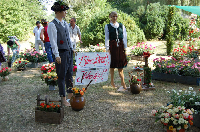 DSC_4465 - Ziua Rozelor 2012 Ciumbrud