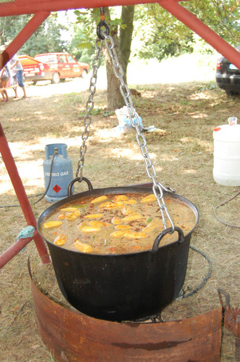 DSC_4573 - Ziua Rozelor 2012 Ciumbrud