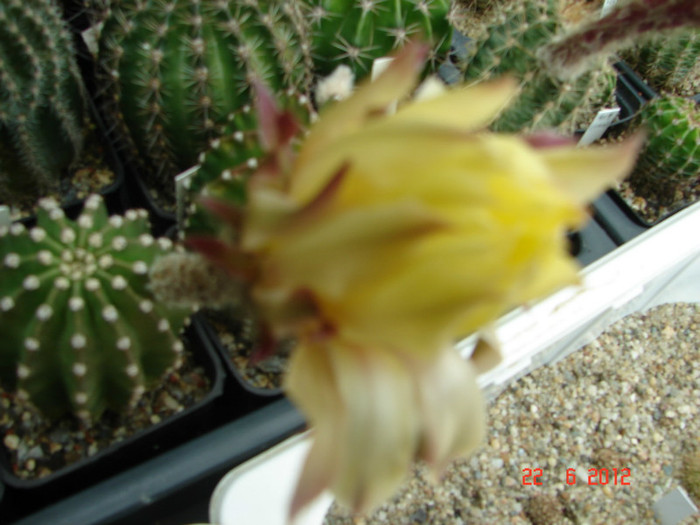 DSC00005