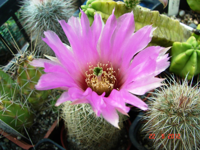 DSC00023