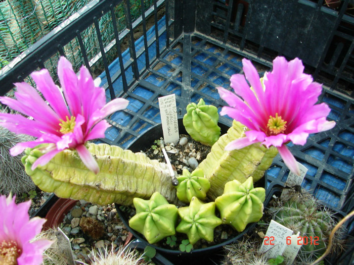 DSC00024