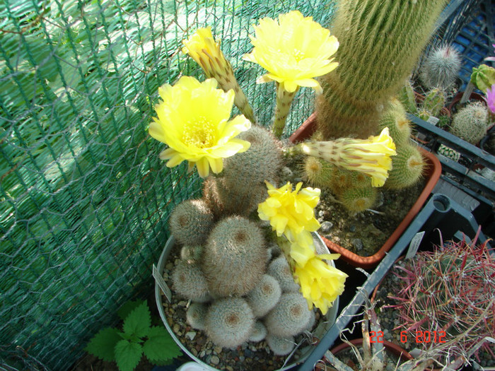 DSC00025