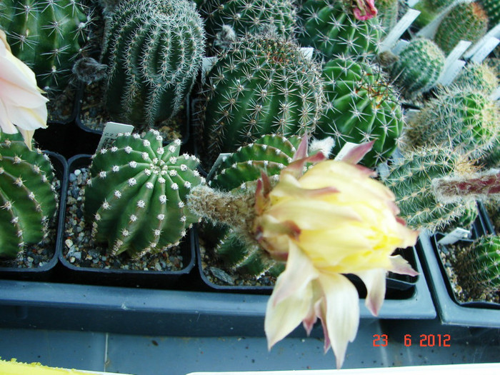 DSC00030