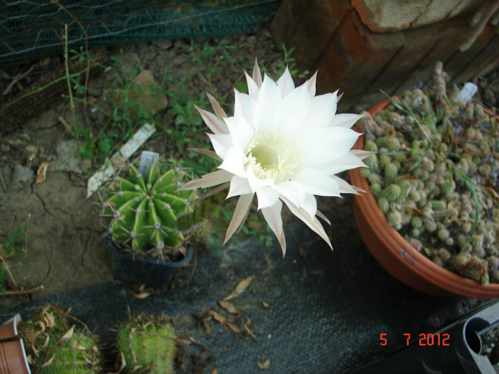 DSC00155