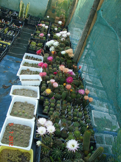 DSC00157