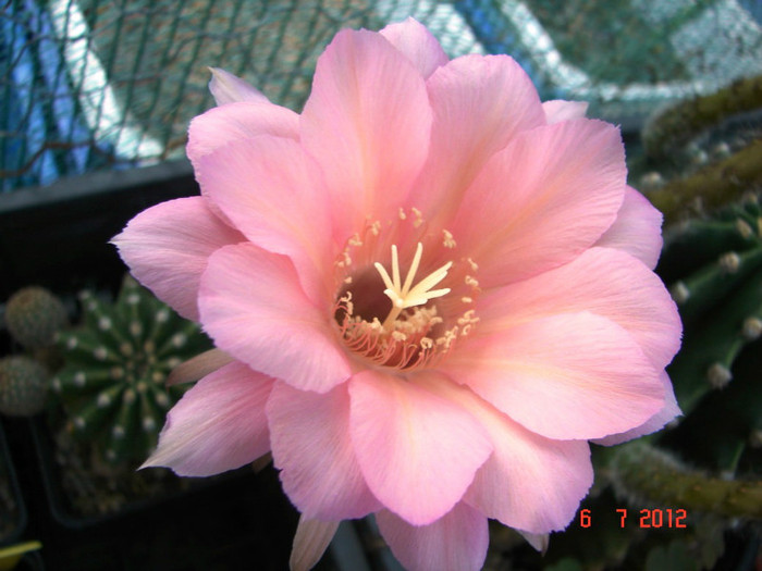 DSC00163