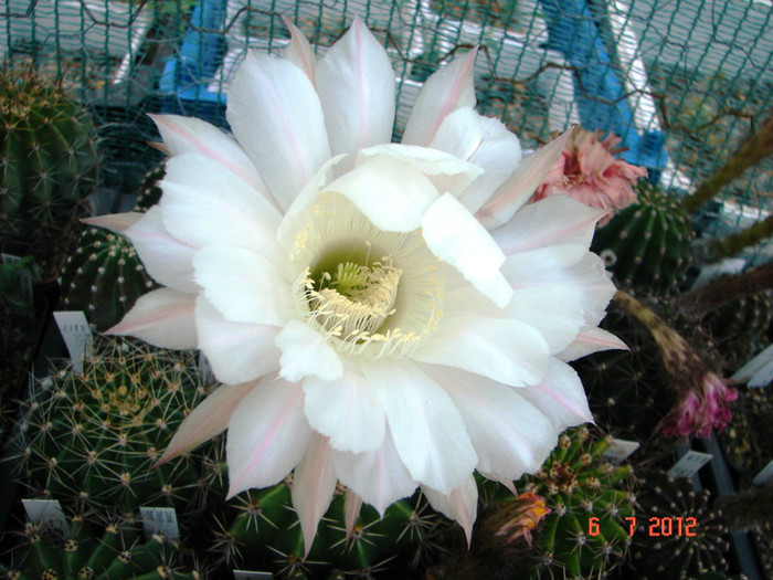 DSC00172