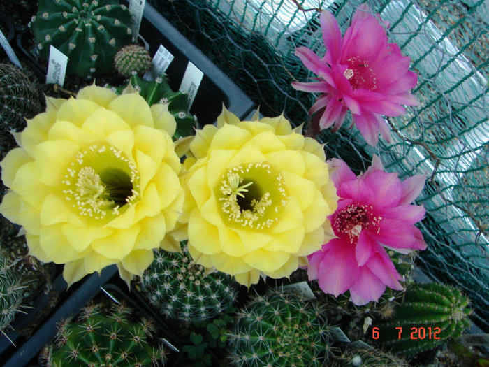 DSC00173