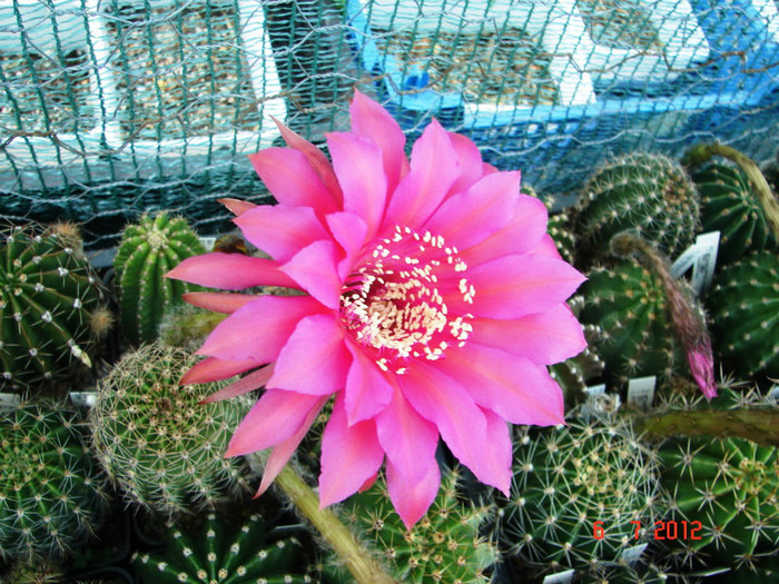 DSC00174