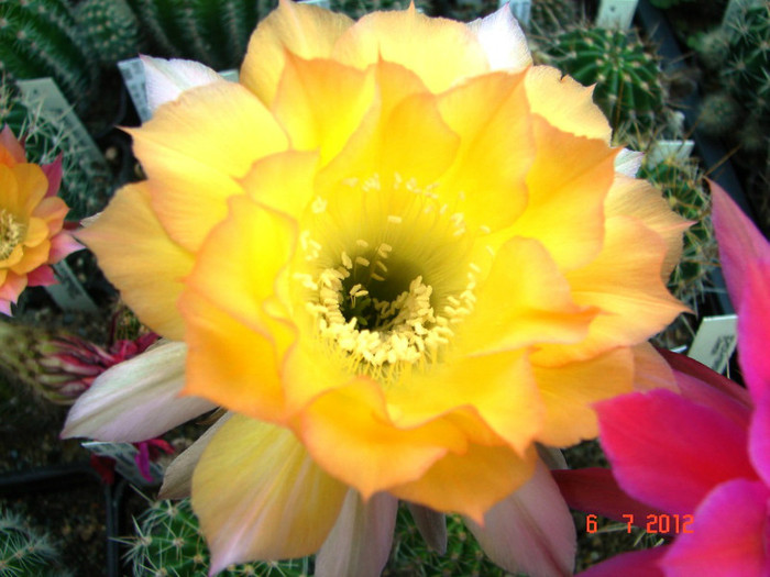 DSC00177