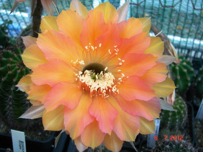 DSC00182