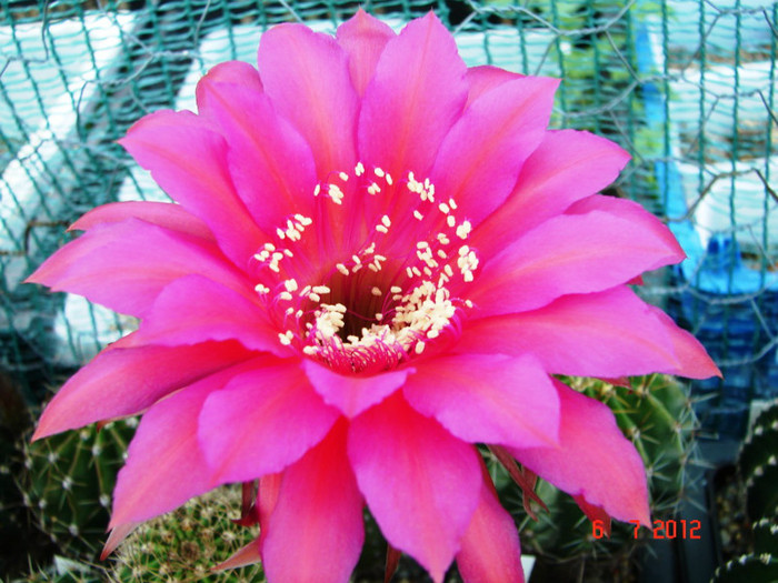 DSC00188