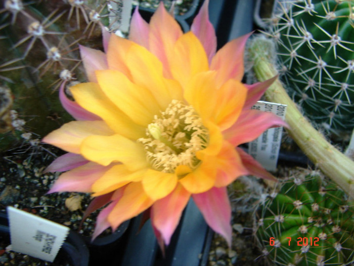 DSC00192