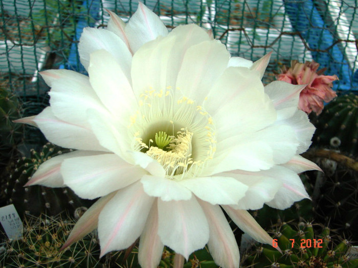 DSC00193
