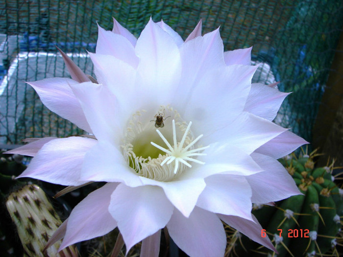 DSC00199