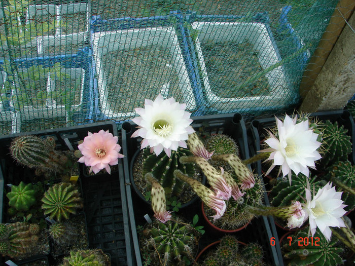 DSC00200