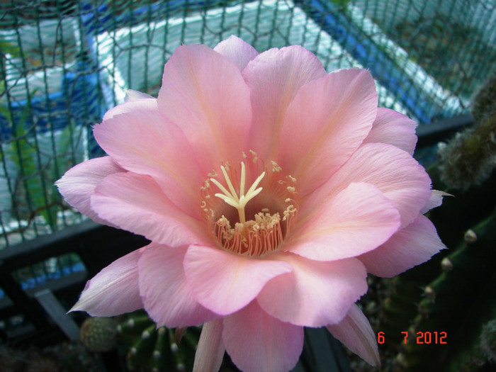 DSC00201