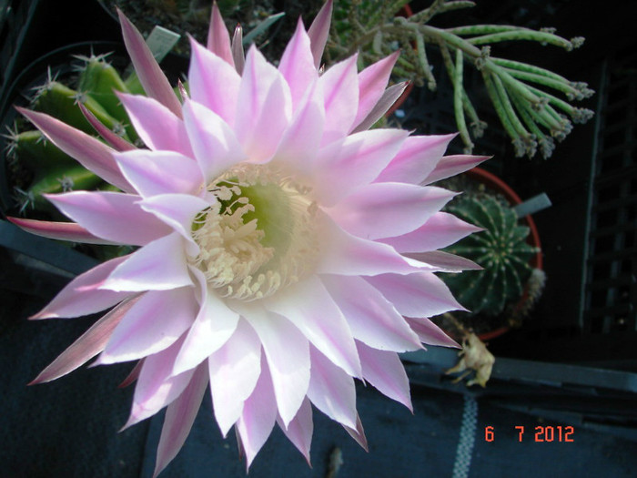 DSC00204