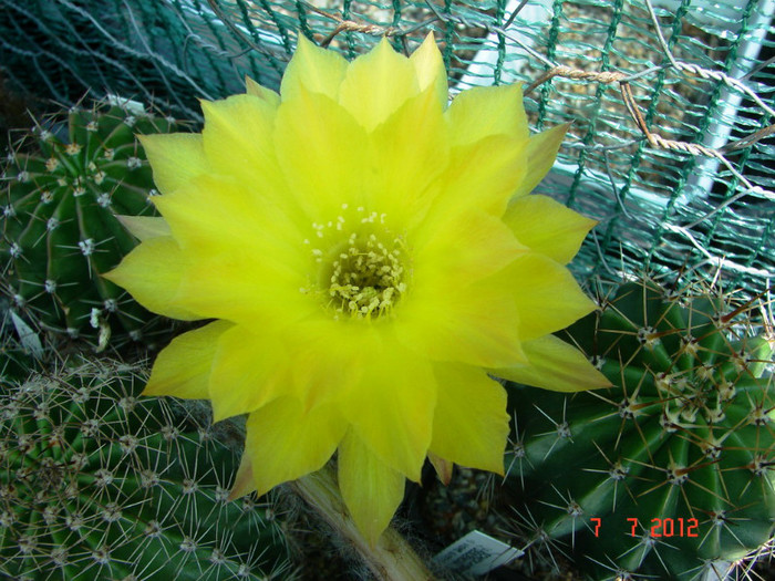 DSC00215