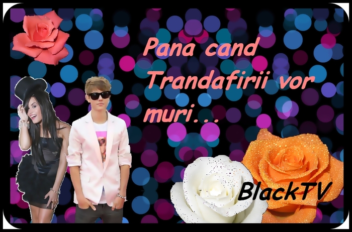 Pana cand Trandafirii vor muri - 0 My Creations 0