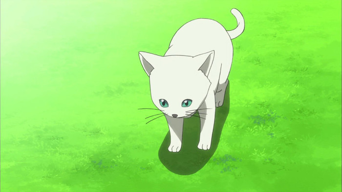 bscap0321 - La storia della Arcana Famiglia