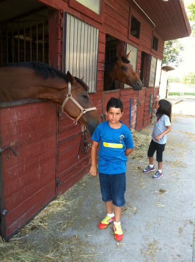 LOVA&MORA 015 - 2012AAAALM