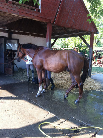 LOVA&MORA 016 - 2012AAAALM
