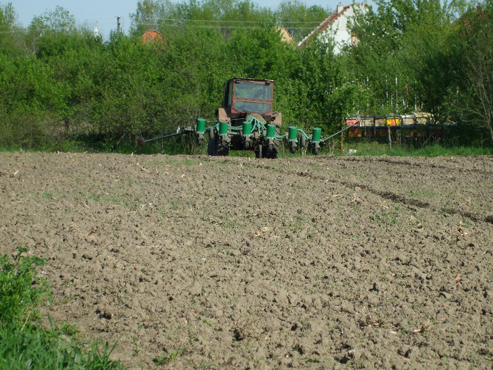 Semanat Porumb - Lucrari agricole