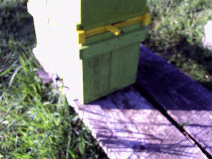 vara 2012 009 - 2012 apicole