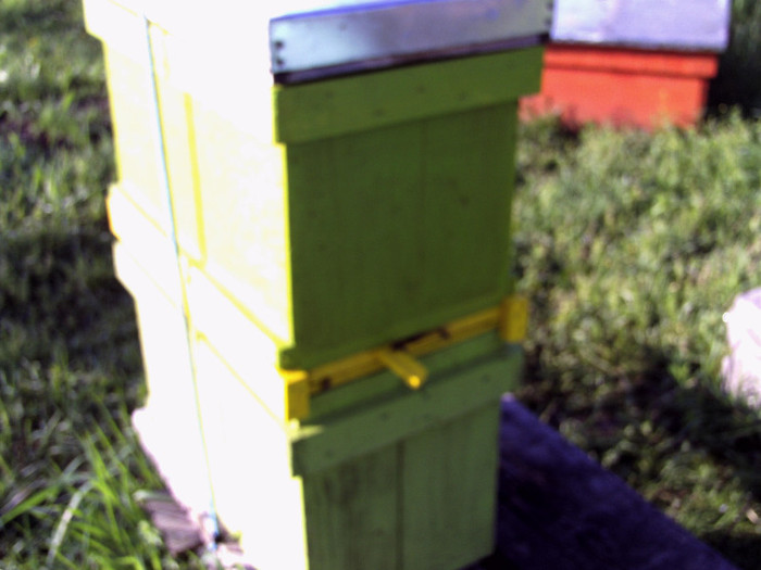 vara 2012 010 - 2012 apicole