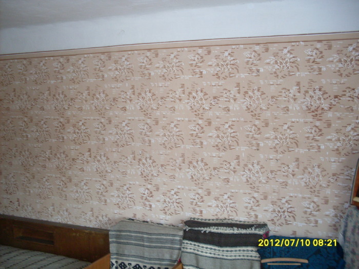 Dridif (81) - casa de vanzare