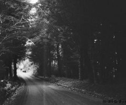 tumblr_lxeohmUFWf1r5e1oso1_500_thumb