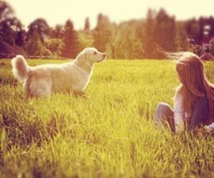 6f2dd160379911e19896123138142014_7_thumb