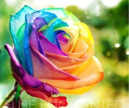 379782_304594172916302_272208196154900_822885_320878601_n_thumb