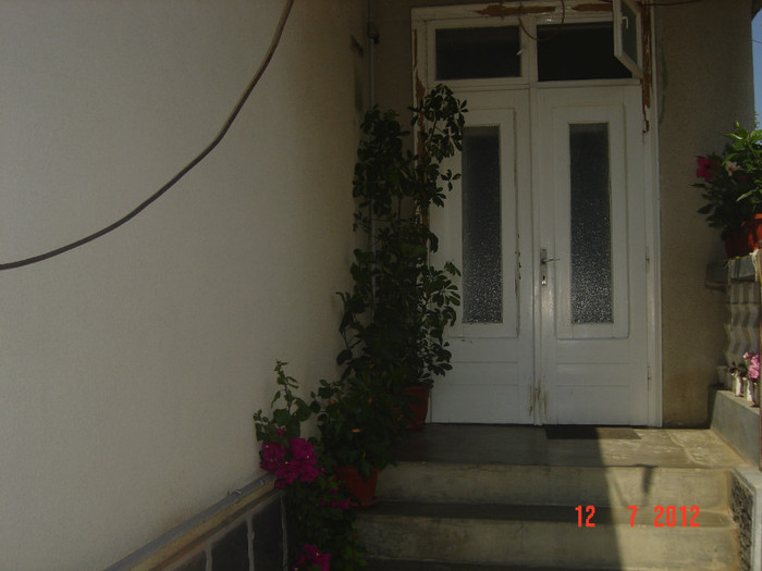 poze 1310 - 2011-2012 CURTEA MEA