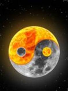 Un kunai era gata s-o loveasca,insa