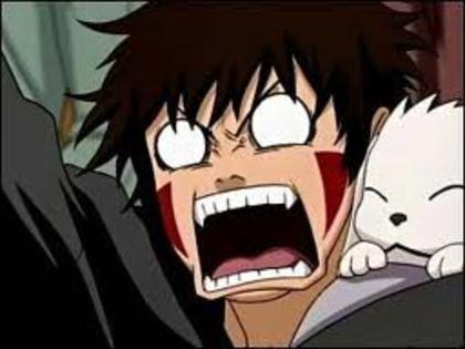 Ok...Stingerea!!! - NaruHina Story BD 2