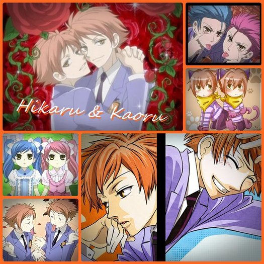 17 - Ouran high school host club anime