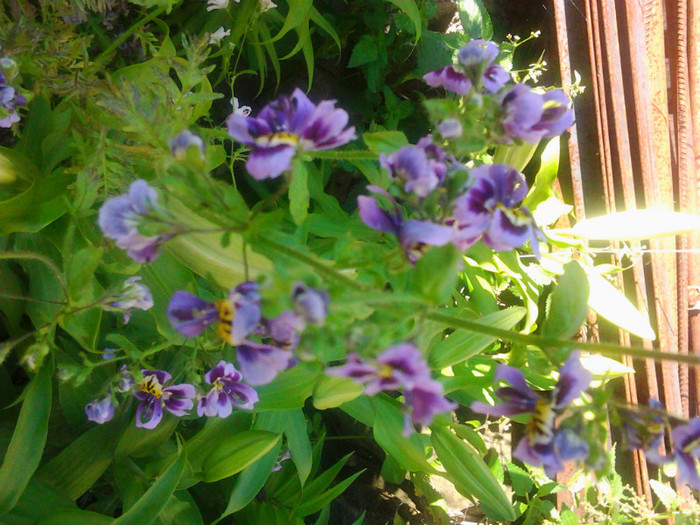 Photo0321