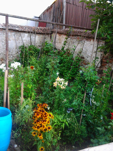 Photo0367