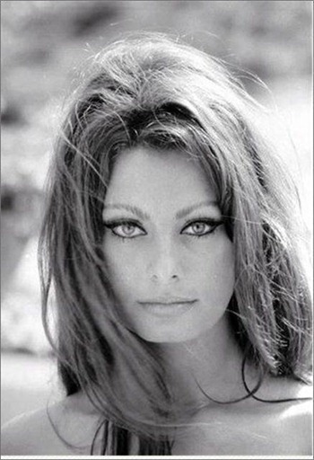 SophiaLorensophialoren14908679437640_thumb - Sophia Loren