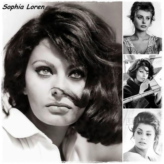 Sophia Loren - o_O Votati-o pe cea mai frumoasa O_o